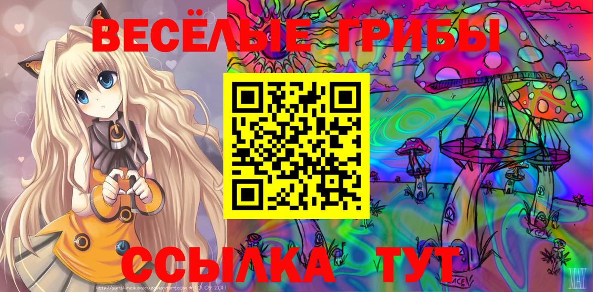 Кондопога  Псилоцибиновые грибы GOLDEN TEACHER  Вход с VPN 